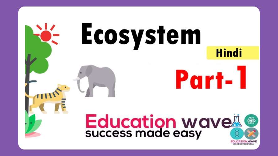 Biology Ecosystem class 12  educationwave