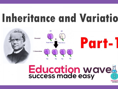 Biology Principles of inheritance and variation class 12