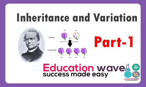 Biology Principles of inheritance and variation class 12