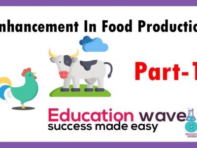 Biology Strategies For Enhancement In Food Production Class 12