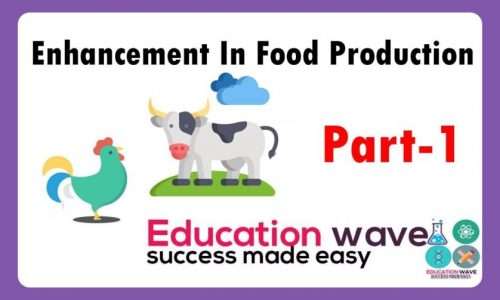 Biology Strategies For Enhancement In Food Production Class 12