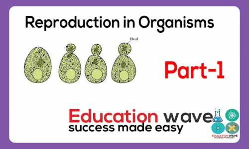 Biology Reproduction in Organisms Class 12
