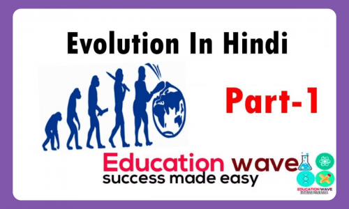 Biology Evolution Class 12