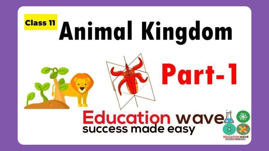 Biology Animal Kingdom Class 11 - Educationwave : Success Made Easy Biology Animal Kingdom Class 11 - Educationwave : Success Made Easy