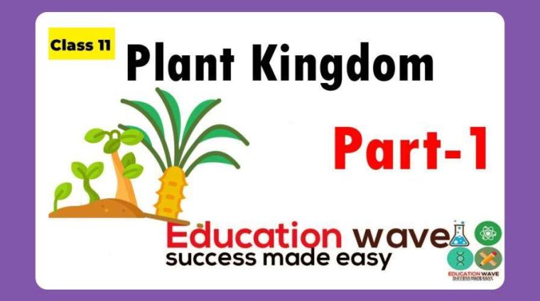 educationwave educationwave