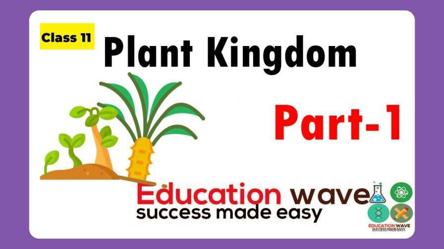 educationwave