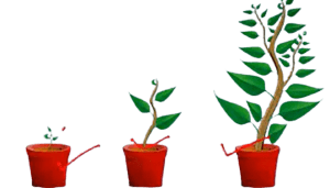 Biology Reproduction in Organism Class 12
