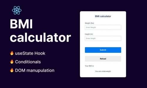 Build A BMI Calculator Using React JS Mini Project | useState Hook & Conditionals ??? ( Hindi )