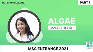 DU | BHU | MSc Entrance Classes | Algae Cyanophyceae