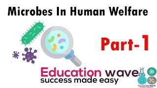 Biology Microbes in Human Welfare Biology Microbes in Human Welfare