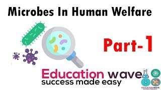 Biology Microbes in Human Welfare class 12