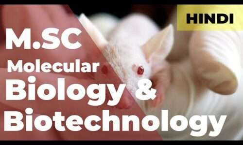 Genetics, Molecular Biology and Biotechnology