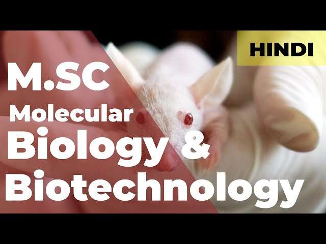 Genetics, Molecular Biology and Biotechnology