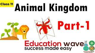 Animal Kingdom Biology Class 11