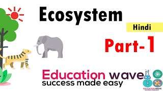 Biology Ecosystem class 12