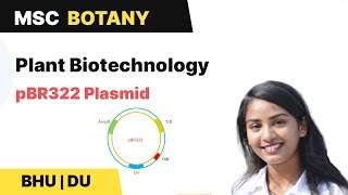 Cloning Vector |Selectable marker| pBR322 plasmid | BHU DU MSc Entrance | In Hindi