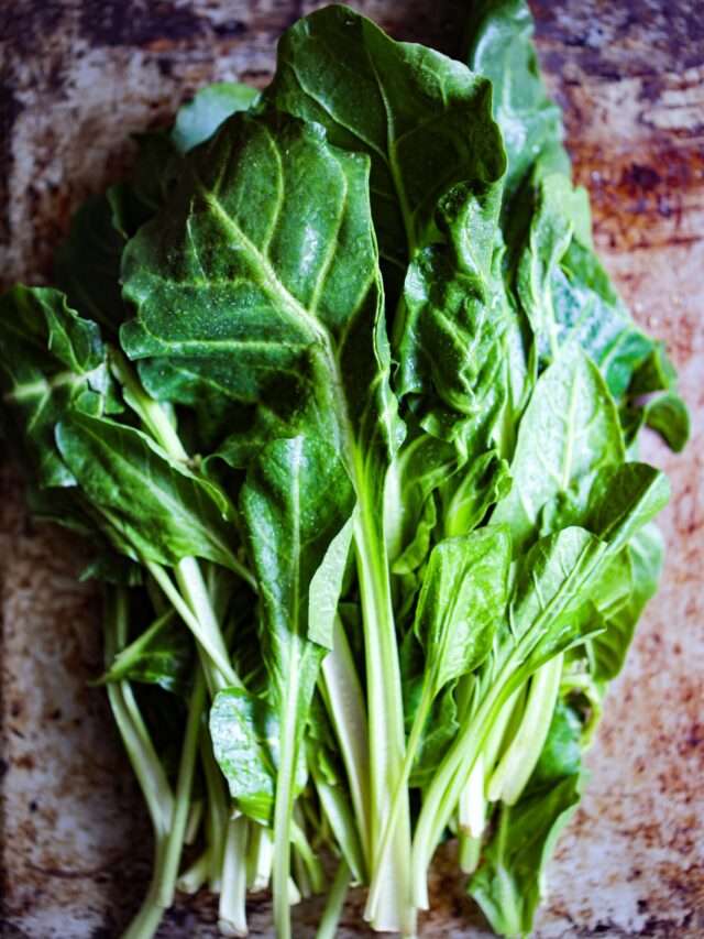Eating Many Different Veggies Is Your Best Bet At Getting All The Nutrients Your Need