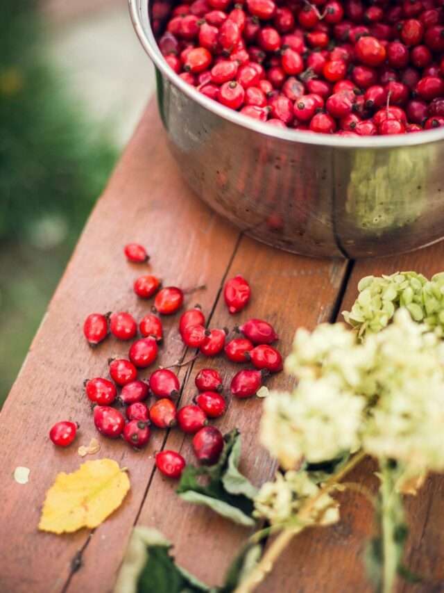 Vitamin A-Rich Foods to Add to Your Diet