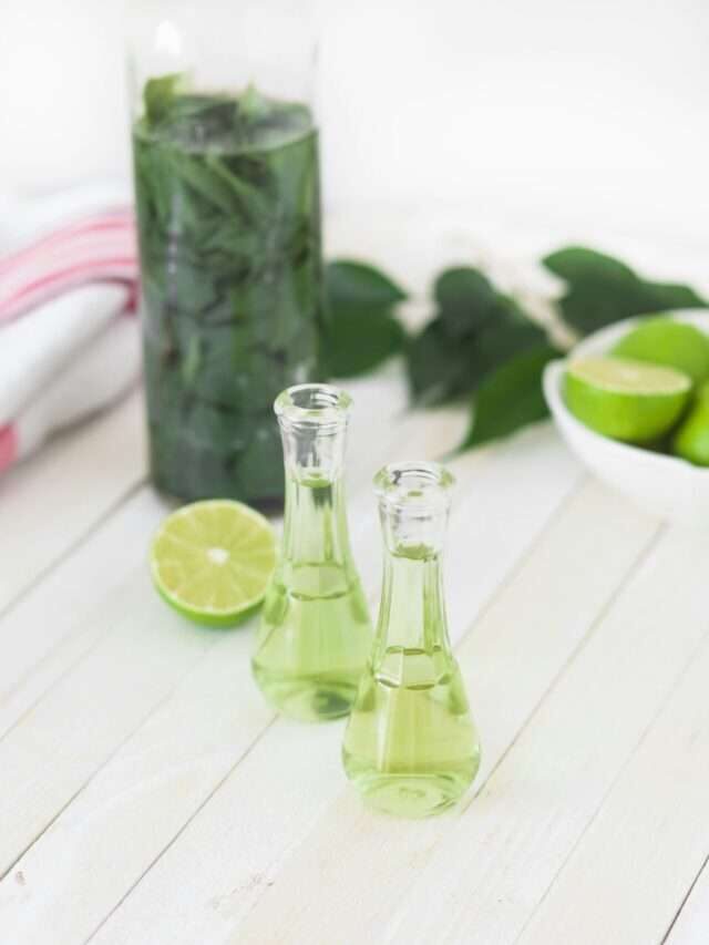 10 Best Foods To Lose 5 Pounds Fast